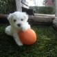 jugando con su pelota